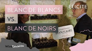 Champagne Types Blanc De Blancs Vs Blanc De Noirs [upl. by Yehus]