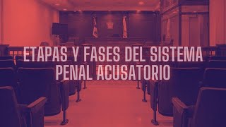 ETAPAS Y FASES DEL SISTEMA PENAL ACUSATORIO [upl. by Vivienne]