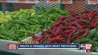 Remove pesticides from vegetables pesticides in fruits and vegetable side effects [upl. by Anna-Diana]