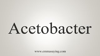 How To Say Acetobacter [upl. by Aham]