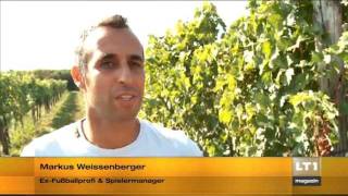 Weinlese Friends of Wagram [upl. by Peednus]