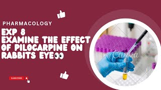 Study the Effect of Pilocarpine in Rabbits eye Exp 8 pharmacology practical pharmacy pharmacology [upl. by Asina45]