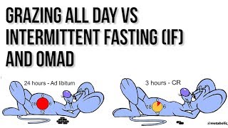 Small frequent Meals VS Intermittent Fasting amp OMAD [upl. by Mommy]