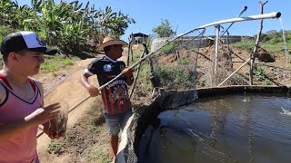 EXPERIÊNCIA USANDO UM NOVO MODELO DE TANQUEREDE PARA MELHORAR O DESENVOLVIMENTO DOS PEIXES [upl. by Onid]