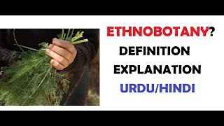 What is Ethnobotany Examples  Importance  Uses  UrduHindi [upl. by Hyacinth]