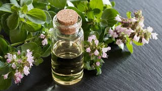 The 5 Best Oregano Oils  Our Top Picks [upl. by Ynnel132]