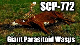 SCP772 Giant Parasitoid Wasps  object class euclid [upl. by Ltihcox]