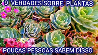 9 DICAS DE OURO PRA TER SUCULENTAS E PLANTAS BONITAS [upl. by Ylluz]