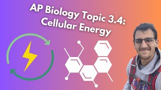 34 Cellular Energy  AP Biology [upl. by Retnuh]