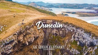 Dunedin amp Péninsule dOtago  Nouvelle Zélande [upl. by Elleunamme689]