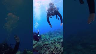 Try Scuba de Fani y Stanley  Radazul Tenerife [upl. by Rondon921]