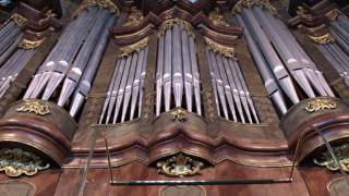 Johann Sebastian Bach  Toccata i Fuga dmoll BWV 565 [upl. by Eigna]