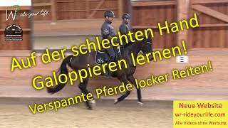 F158 Angaloppieren auf der steifen  schlechten Seite Verspannte Pferde locker reiten Galopp [upl. by Newfeld]