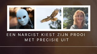 Een narcist kiest zijn prooi met precisie uit carolinedeboernarcismenomore [upl. by Eenobe]