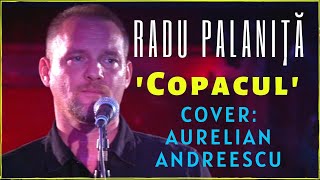 Radu Palaniţă Copacul  COVER Aurelian Andreescu [upl. by Marquita]