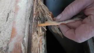 Fensterrahmen morsches Holz reparieren repair rotten wood frame [upl. by Bowne3]