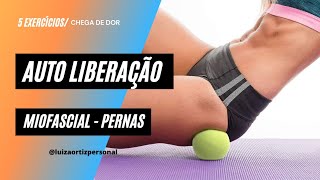 Liberação Miofascial Dorsal [upl. by Thornton]