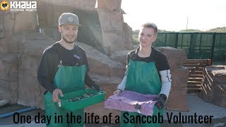 One day in the life of a Sanccob volunteer  Khaya Volunteer Projects [upl. by Marola]