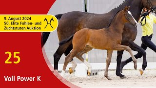 50th Elite Foal and BroodmareAuction  Aug 9th  No 25 Voll Power K by VPower  De Niro [upl. by Eenttirb]