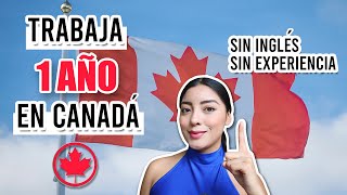 🚨TRABAJA 1 AÑO en CANADÁ SIN SABER INGLÉS y SIN EXPERIENCIA 2022 [upl. by Leahkim911]