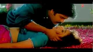 Tum Mile Dil Khile or jenay  mp4 [upl. by Hgielrebma797]