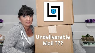 LOST LOOTS Undeliverable Mail Mystery Boxes  Have I Been Scammed Again [upl. by Nahtaoj]