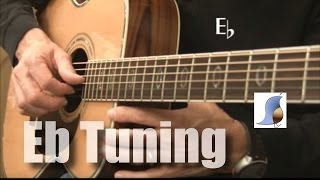 E flat tuning 12 step down for Guitar [upl. by Tsugua]