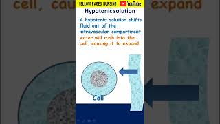 Hypotonic solution  045 Sodium Chloride 045 NaCl [upl. by Jennine246]