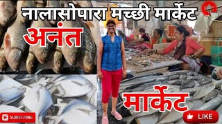 नालासोपारा फिश मार्केट  अनंत मार्केट  Nalasopara Fish Market  travel vlog lifestylewithgargi [upl. by Orly]