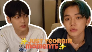 JUST YEONBIN MOMENTS [upl. by Dupuis]