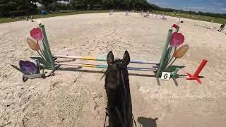 GoPro Rex Starter  2024 Majestic Oaks April Schooling Show [upl. by Ailla]