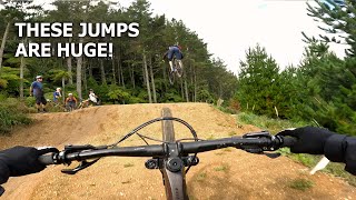 Best Jump Trail in The Forrest  The Newly Refreshed STORM TROOPER Trail  Redwoods Rotorua [upl. by Ttennaj]