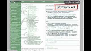 Phytozome and the peach genome [upl. by Lednem]