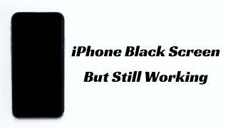 iPhone Screen Black But Still Working Here’s How to Fix iPhone Black Screen of Death Issues [upl. by Balmuth879]