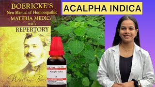 ACALPHA Indica homeopathic mother tincture from boerickes materia medica in Hindi [upl. by Alletse]