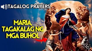 Makapangyarihang dasal sa Inang Nagkakalag ng Buhol  Tagalog Marian Prayers ✨ [upl. by Artenal]