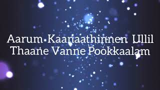 Aarum Kaanaathinnen Lyrics [upl. by Hnilym52]