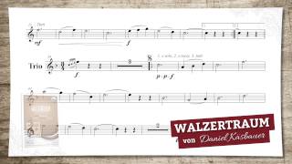 Walzertraum Walzer [upl. by Nabatse]