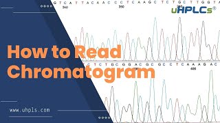 How to Analyse HPLC Data  Maybe You Can Study from this Video [upl. by Laurie51]