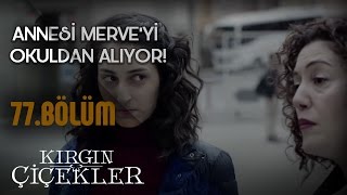 Kırgın Çiçekler 77Bölüm  YGS’de başarısız olan Merve [upl. by Suiramaj189]