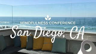 Social Work Trip  Mindfulness Conference [upl. by Aseeram707]