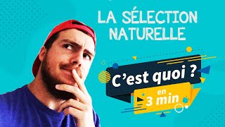 La Sélection Naturelle cest quoi en 3 minutes  Définition exemples… Lévolution vulgarisée [upl. by Aylat530]