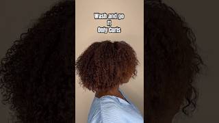 Wash and go on Type 4 hair using Only Curls [upl. by Mouldon250]