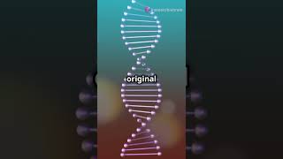 The Crucial Role of DNA Polymerase in DNA Replication [upl. by Crawley975]