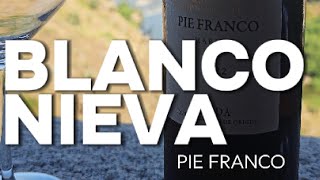 short  🍷 Hoy en descorchando donde labarricavinospichi vino quotBlanco Nieva Pie Francoquot [upl. by Mikaela]