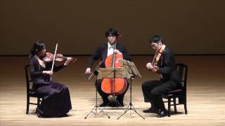 JSBach  Goldberg Variations arranged for string trio by Dmitry Sitkovetsky [upl. by Nolak462]