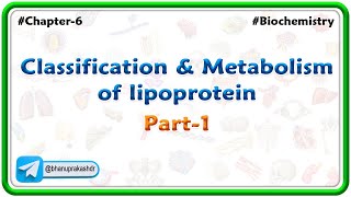 Chapter 6  Lipids  Classification amp Metabolism Of lipoprotein Part 5  Hindi [upl. by Ahseiyk]