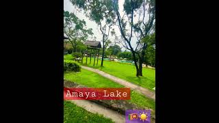 Amaya lake Kandalama…dambulla hotel srilanka [upl. by Klepac]