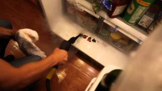 How to Steam Clean Refrigerator and Freezer  Daimer Steam Cleaners [upl. by Leinoto86]