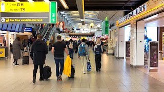 Walking from Gate D41 to Gate G10 at Schiphol Airport Amsterdam [upl. by Annmaria]